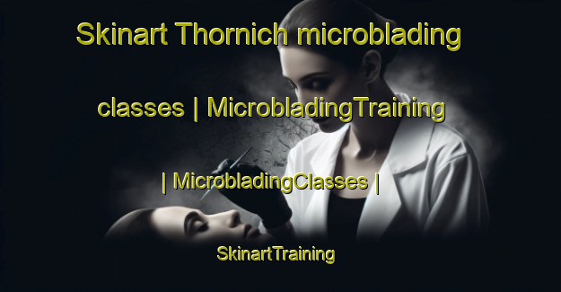 Skinart Thornich microblading classes | MicrobladingTraining | MicrobladingClasses | SkinartTraining-Germany